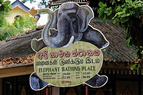 SriLan (38)